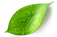 sodium-hyaluronate